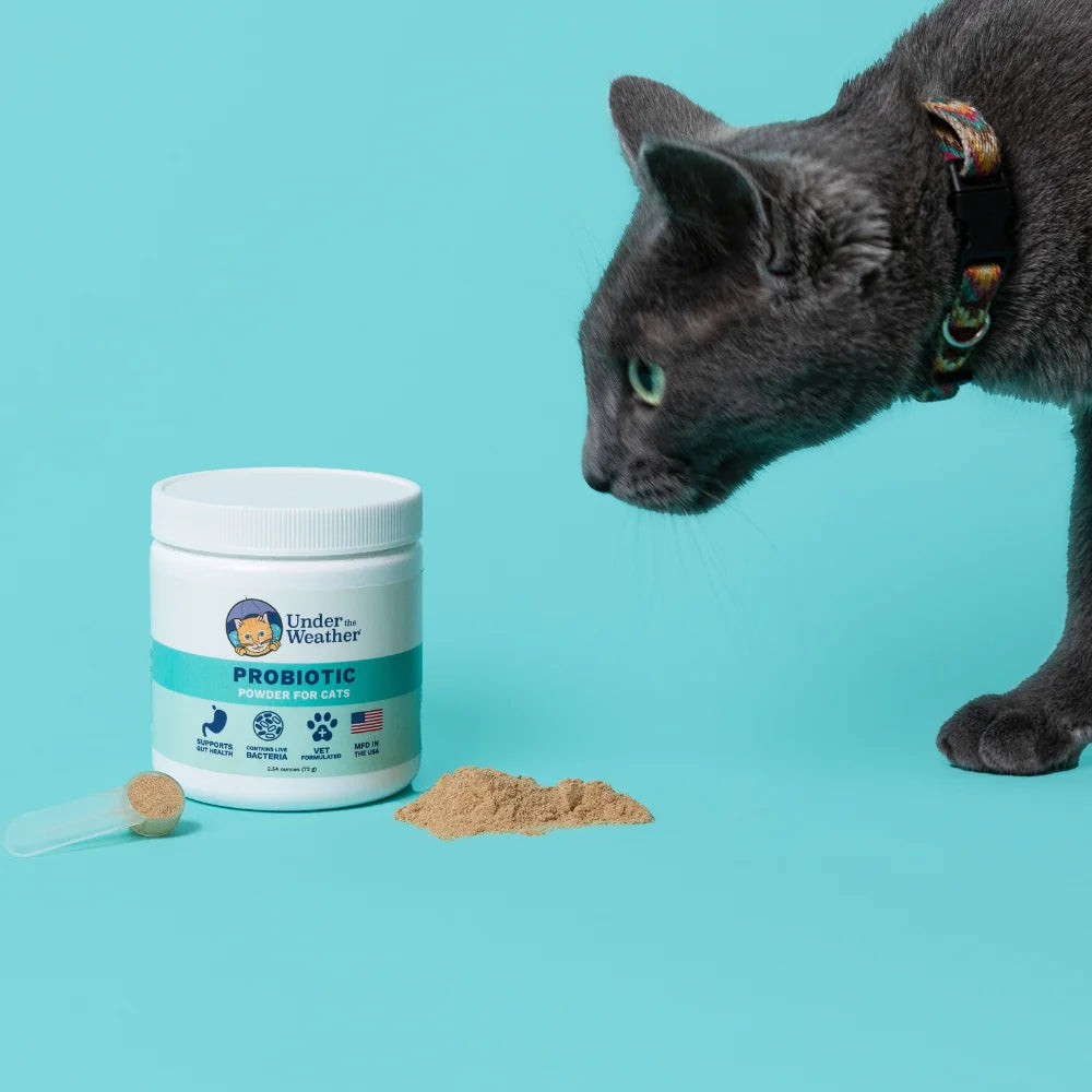 Pet | Probiotic Powder for Cats | Vet Formulated Probiotic Supplement for Digestive Gut Health