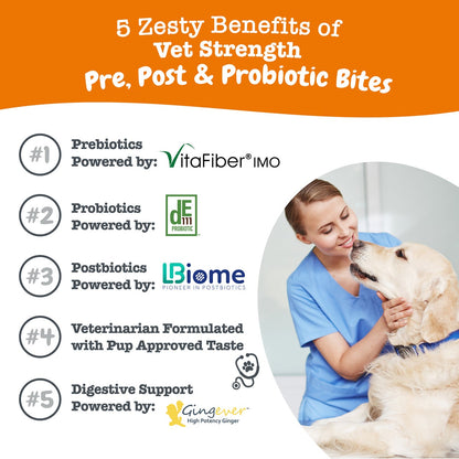 Vet Strength Pre, Post, & Probiotic Bites for Dogs, for Gut Health & Immune Support, Chicken Flavor, 90 Count Soft Chews