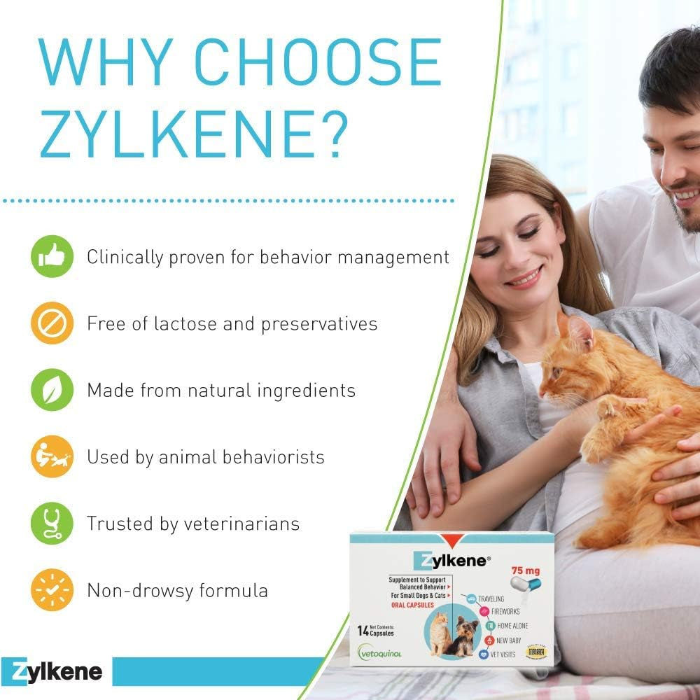 Zylkene Calming Support Supplement for Small Dogs and Cats, Helps Promote Relaxation and Reduce External Stress Factors, Daily Behavioral Support and Anxiety Relief for Dogs and Cats, 75Mg