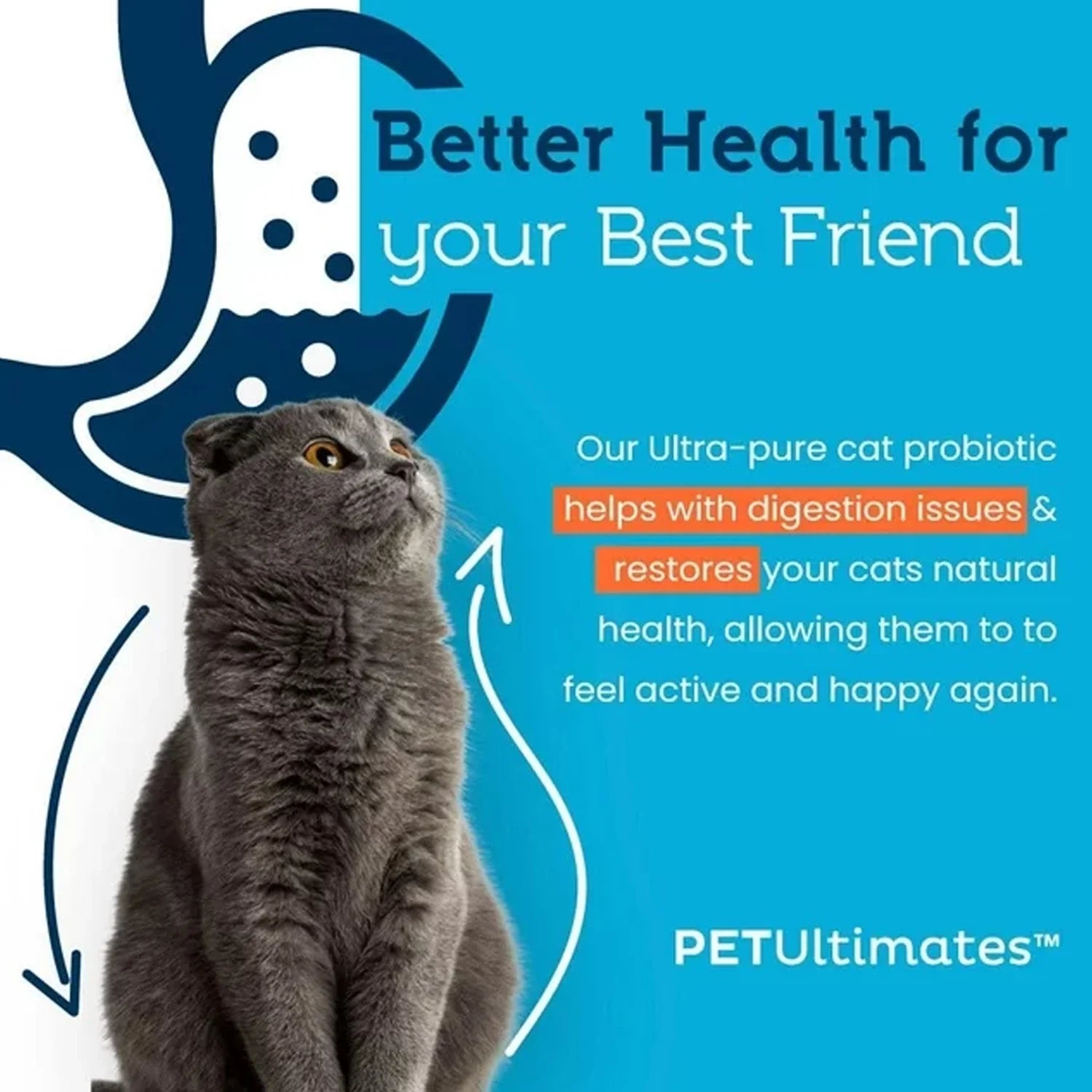 Cat Probiotics Powder with Digestive Enzymes for Cats Digestive Health Supplement 44 Grams - 3 Pack