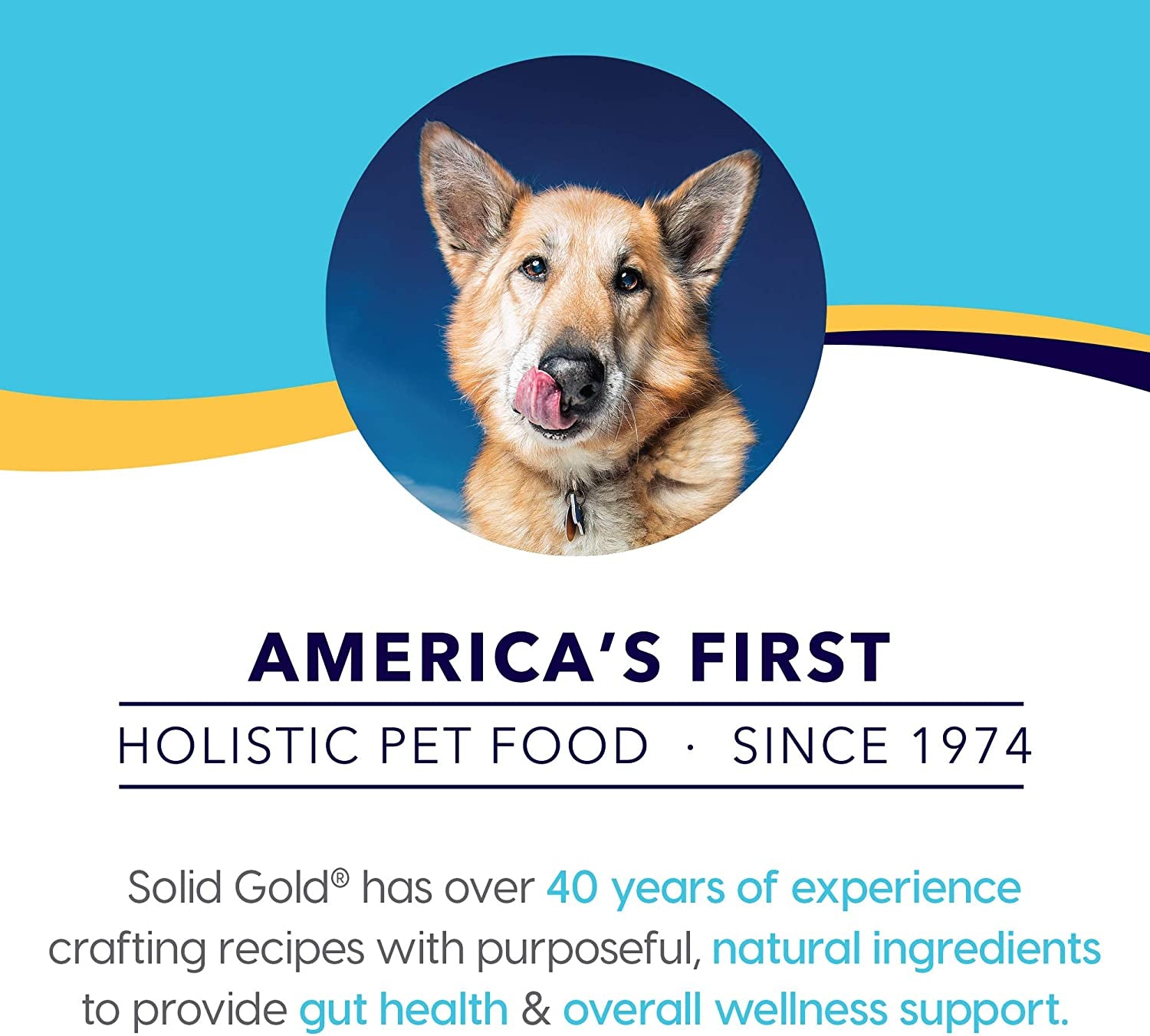 Weight Management Dog Food - Fit & Fabulous Wet Grain Free Dog Food Made with Real Chicken, Sweet Potato and Green Bean - for Weight Control and Dogs with Sensitive Stomachs